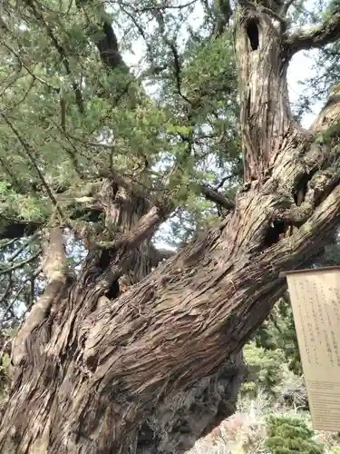 建長寺の自然