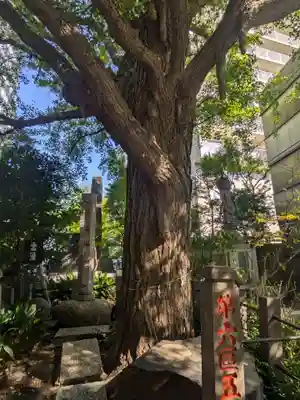 回向院(東京都)