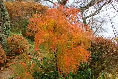 長屋神社の自然