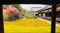 隨心院（随心院）(京都府)