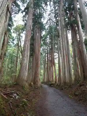 戸隠神社奥社(長野県)
