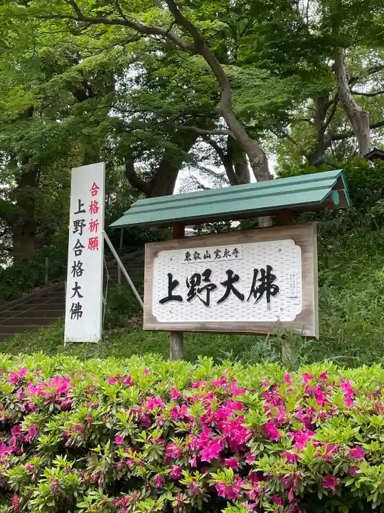 上野大佛(東京都)