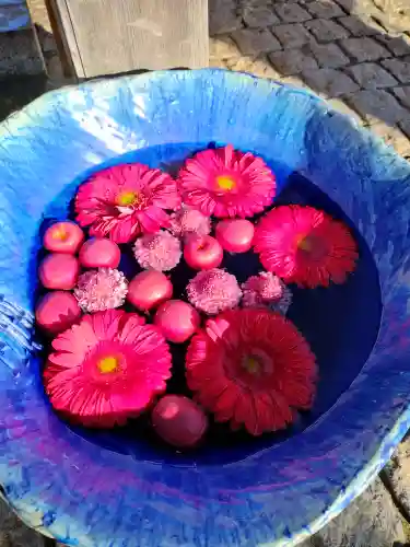 川越八幡宮(埼玉県)