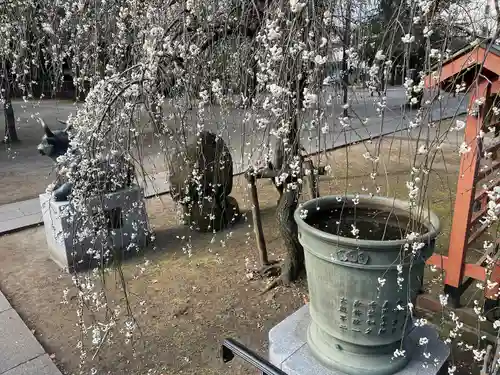 川口神社(埼玉県)