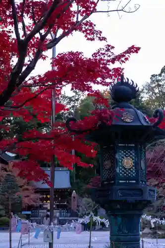 今宮神社(京都府)