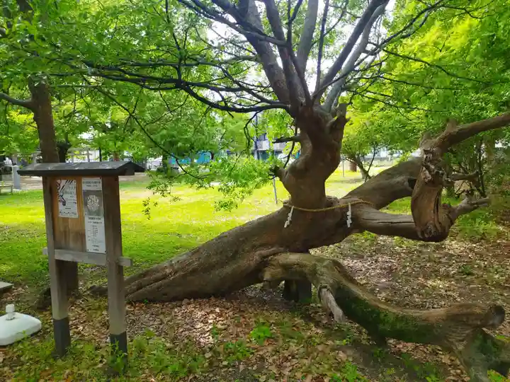 竹渕神社(大阪府)