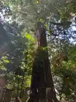 須佐神社(島根県)