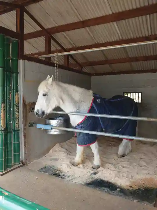 大和国鹿島香取本宮(奈良県)