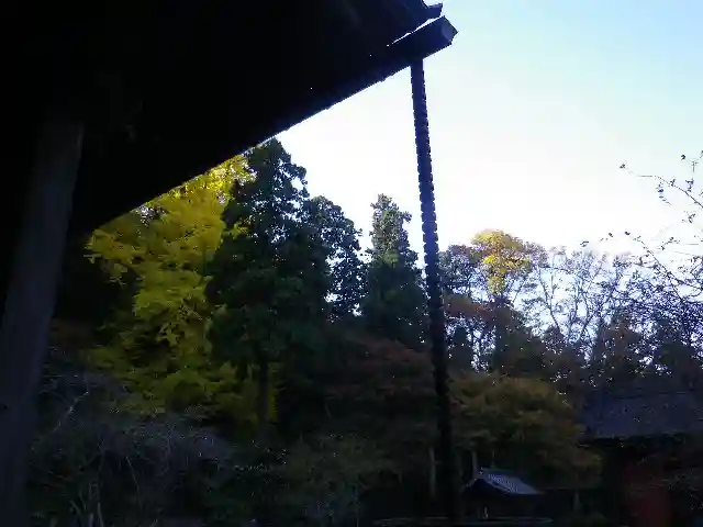 妙本寺(神奈川県)