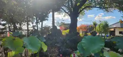 吉祥院(山形県)