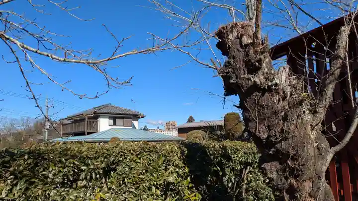 武甲山御嶽神社里宮の自然
