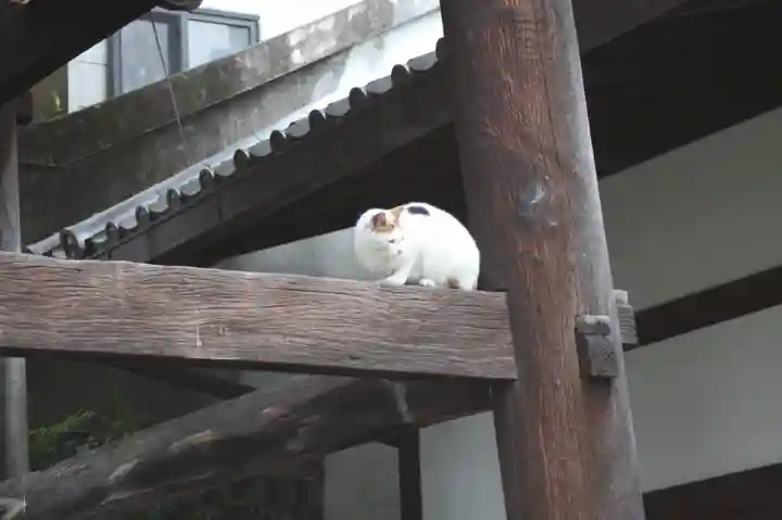 行願寺(革堂)(京都府)