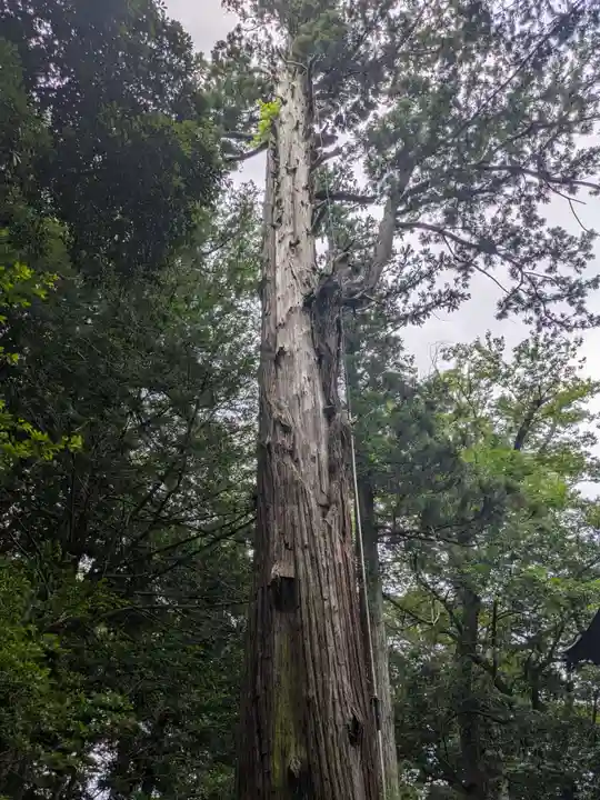 一言主神社(茨城県)