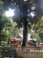 岩槻久伊豆神社(埼玉県)