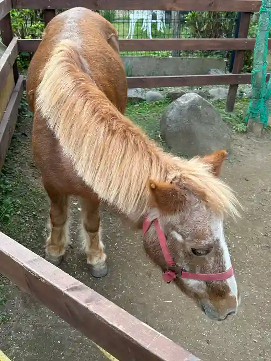 五方山熊野神社(東京都)