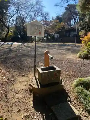 蓮神社(群馬県)