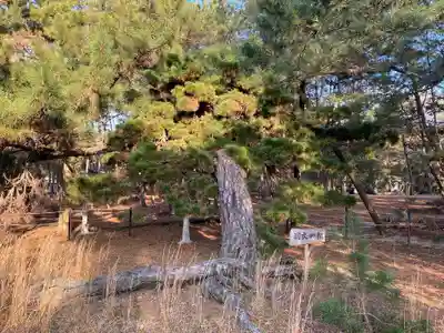 古尾八幡宮(山口県)