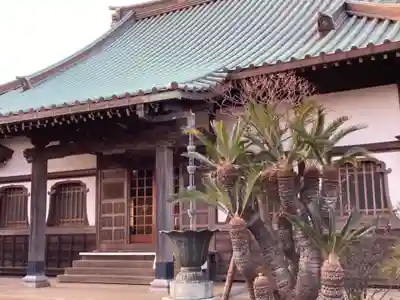 光念寺(神奈川県)