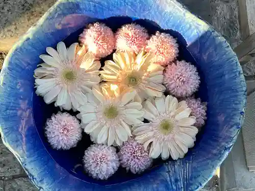 川越八幡宮(埼玉県)