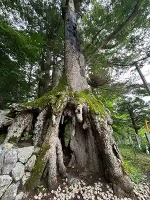 富士山東口本宮 冨士浅間神社(静岡県)