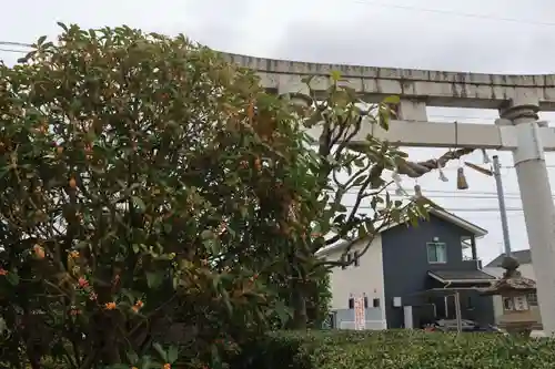 豊景神社の鳥居