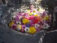 伊達神社(北海道)