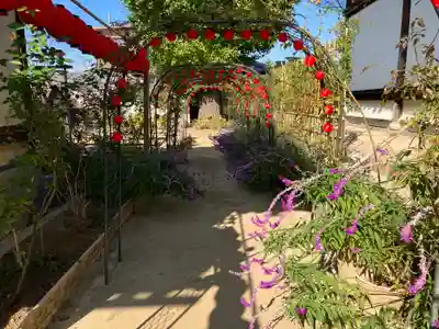 おふさ観音（観音寺）(奈良県)