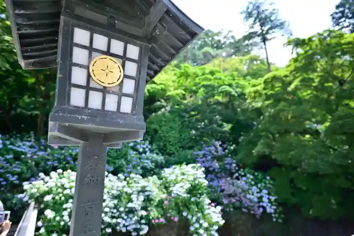 高幡不動尊 金剛寺のその他建物