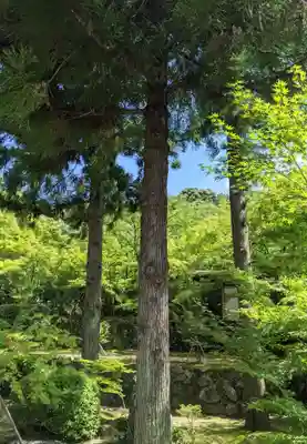 酬恩庵一休寺の自然