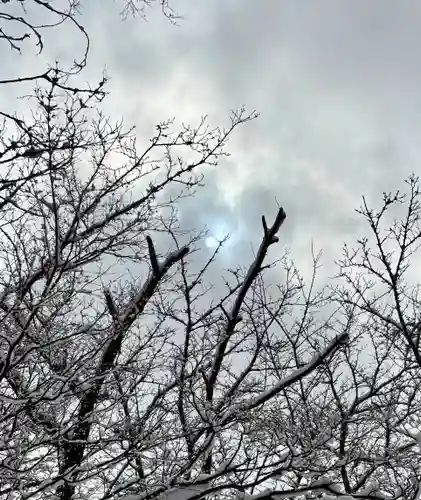 蚊里田八幡宮(長野県)