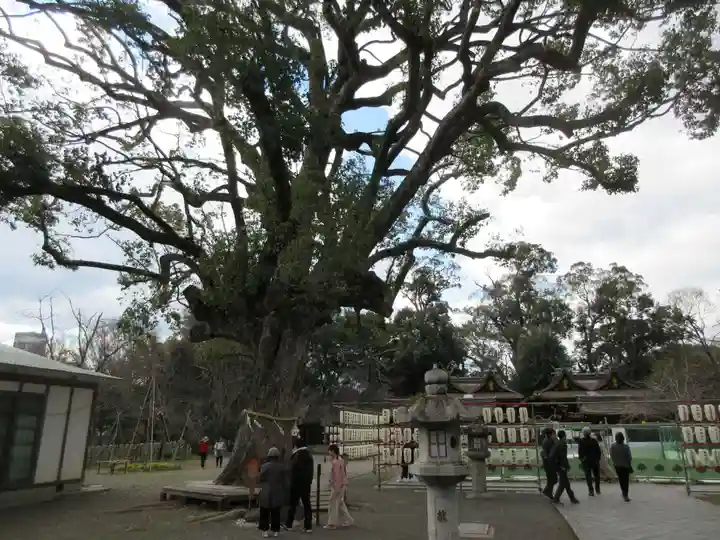 平野神社のその他建物
