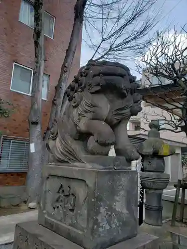 穏田神社の狛犬
