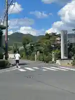 大覚寺(京都府)