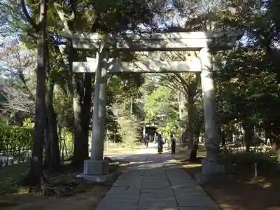 赤坂氷川神社の鳥居
