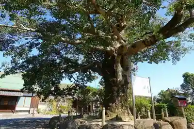 乙訓寺のその他建物