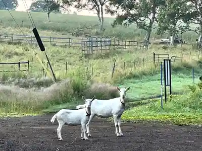 禰固岳神社(長野県)