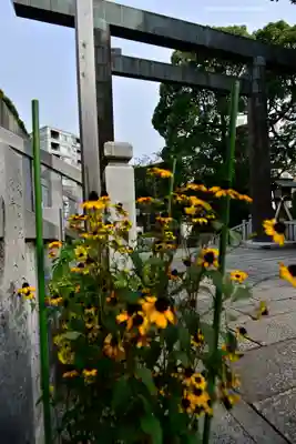 伊勢山皇大神宮(神奈川県)