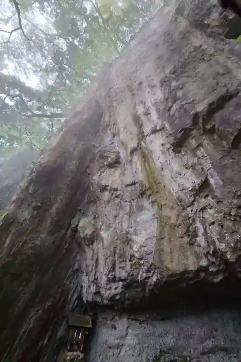 多祁伊奈太岐佐耶布都神社(広島県)