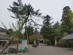 越中一宮 髙瀬神社(富山県)