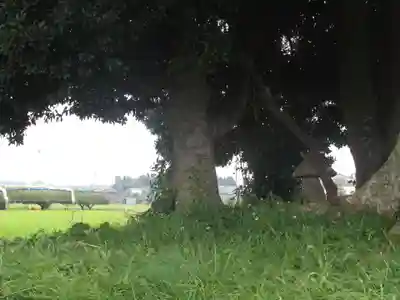 裏つくば、恋瀬川沿いの神社(茨城県)