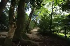 須佐神社の自然