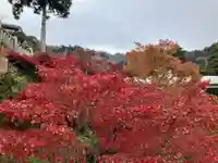 大山阿夫利神社(神奈川県)