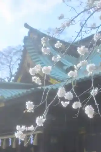 三嶋大社(静岡県)