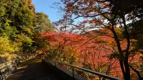 善峯寺(京都府)