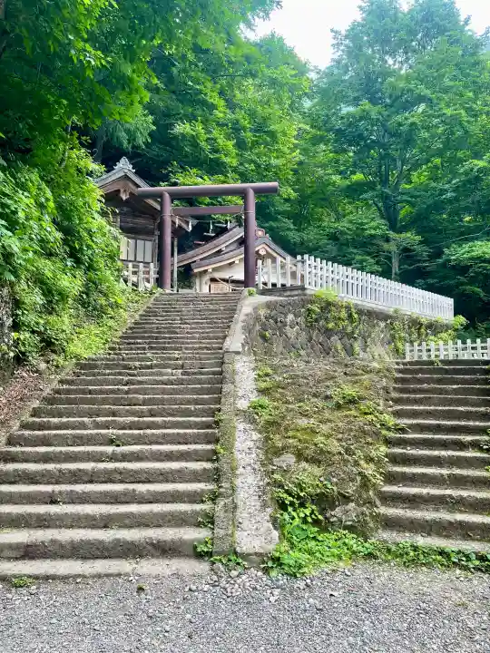 戸隠神社奥社の{uncategorized: "未分類", other: "その他", undefined: "問題あり", building: "その他建物", grave: "お墓", sacred_gate: "鳥居", guardian: "狛犬", statue: "像", buddha: "仏像", history: "歴史", nature: "自然", garden: "庭園", animal: "動物", pagoda: "塔", temizu: "手水舎", mountain_gate: "山門・神門", sanctuary: "本殿・本堂", subordinate: "末社・摂社", art: "芸術", scenery: "景色", jizo: "地蔵", ema: "絵馬", goshuin: "御朱印", omikuji: "おみくじ", items: "授与品その他", amulet: "お守り", goshuincho: "御朱印帳", eats: "食事", festival: "お祭り", votive_dance: "神楽", shichigosan: "七五三参", wedding: "結婚式", experience: "体験その他", initially: "初詣", around: "周辺", anti_infection: "感染症対策"}