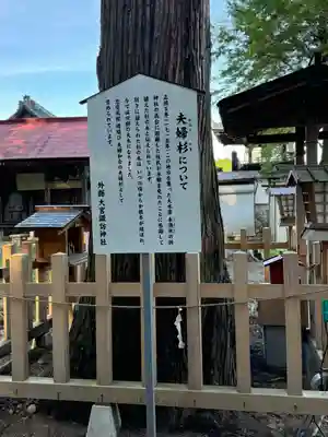 大宮諏訪神社(長野県)