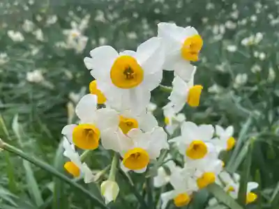 諸口神社(静岡県)