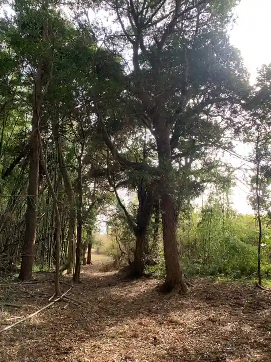 熊野神社(千葉県)