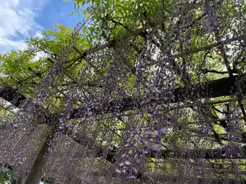 日吉神社の庭園