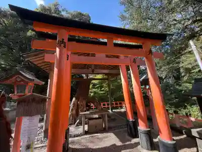 伏見稲荷大社(京都府)